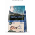 Karma Bravery Herring Adult Medium/Large Breeds 2 x 12 kg GRAIN FREE (śledź)
