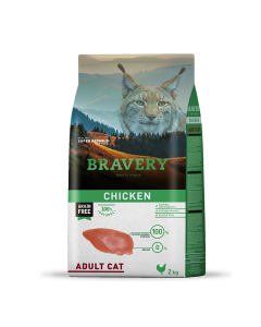 bravery-cat-chicken-adult.png