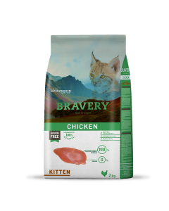 bravery-cat-kitten-chicken.png