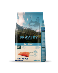 Bravery-DOG-salmon-2k-min.png