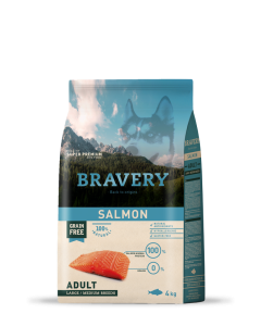 Bravery-DOG-salmon-4k-min.png