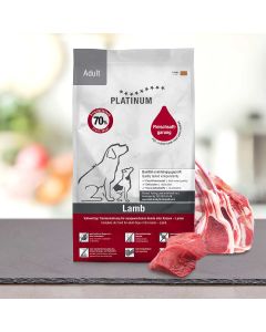 Karma PLATINUM Adult Lamb+Rice 5 kg (jagnięcina)